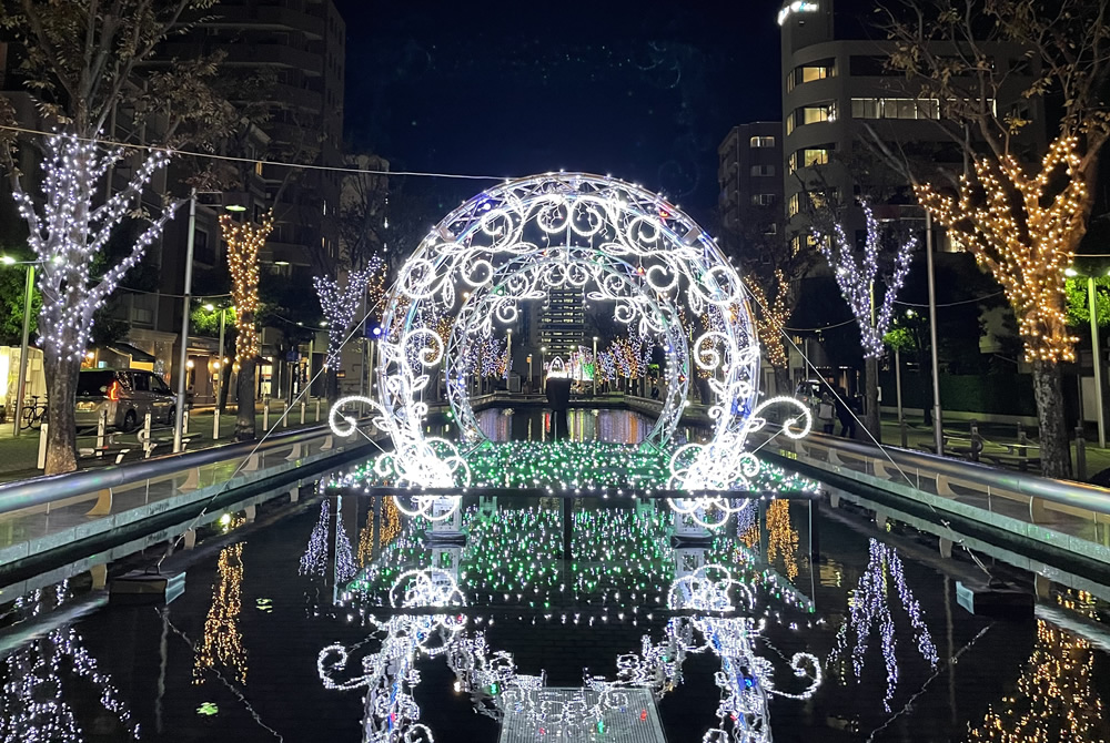 青葉シンボルロードイルミネーション | 夜間イベント | 静岡の夜景